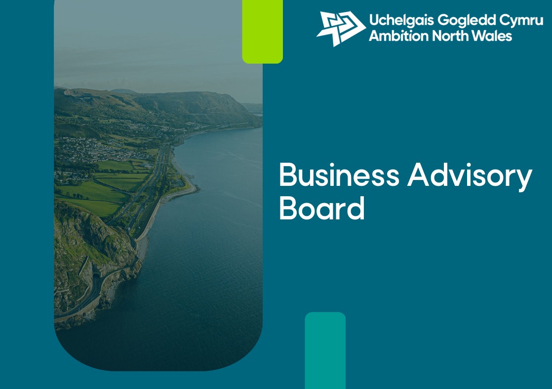 Business Advisory Board Members - application pack