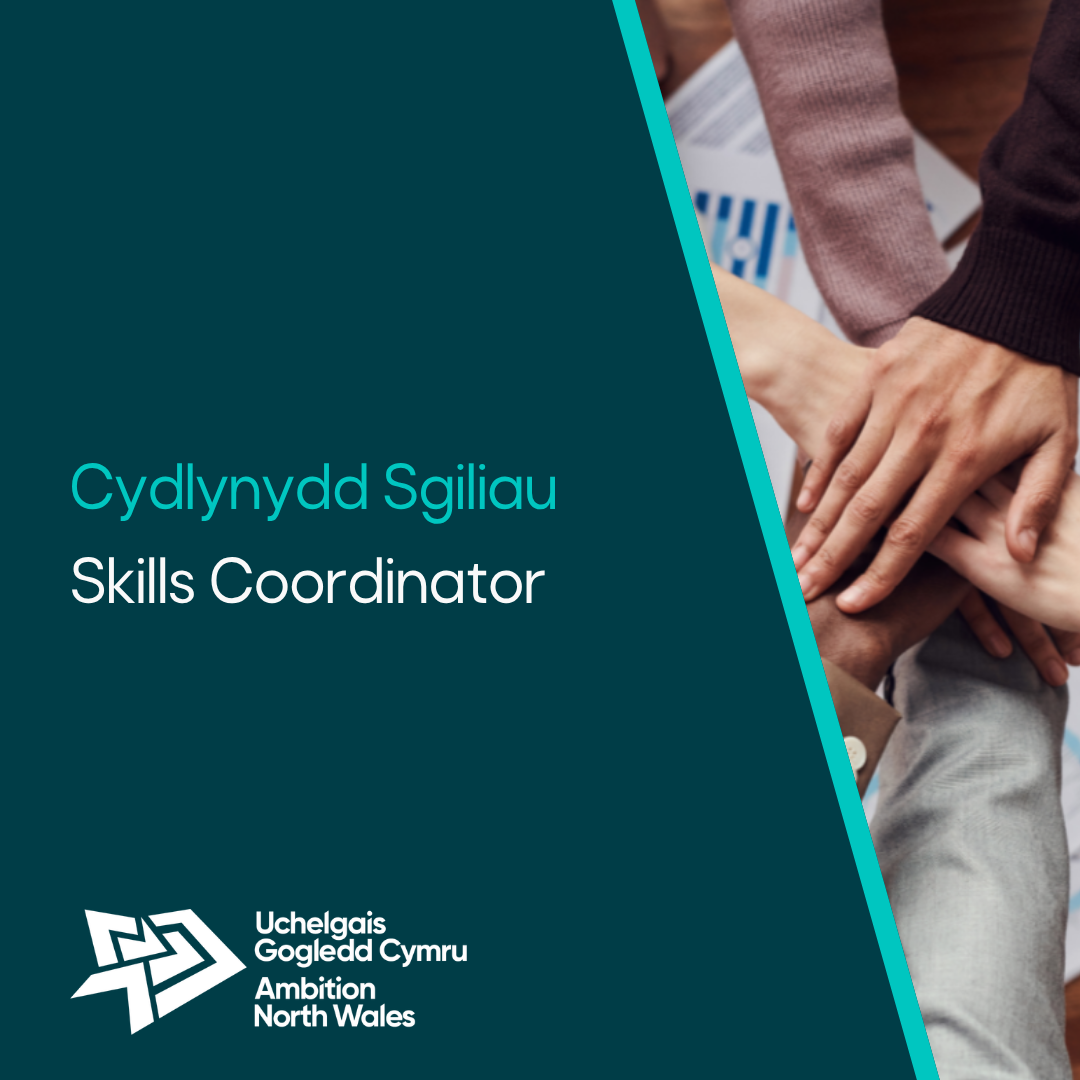 Job Pack of Skills Coordinator